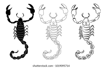 Black and white drawing scorpion. Vector illustration.set of scorpion.