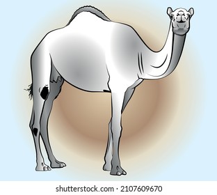 Dibujo en blanco y negro de She Camel en líneas y sombras