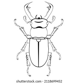 Black and white drawing of a stag beetle for coloring. Horned beetle Lucanus. Vector illustration