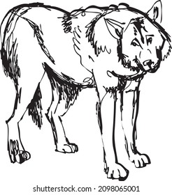 black and white drawing of a standing wolf