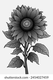 Black and white drawing of a sunflower flower. Vector illustration. Sketch for creativity.