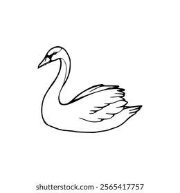 A black and white drawing of a swan