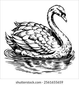 A black and white drawing of a swan in a body of water