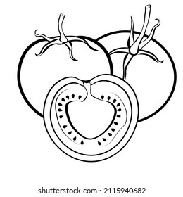 Schwarz-Weiß-Zeichnung von Tomaten zum Färben. Gemüse zum Färben des Buches. Vektorgrafik