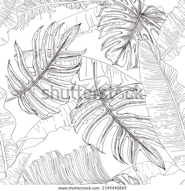 Black White Drawing Tropical Leaves Banana Stock Vector (Royalty Free ...