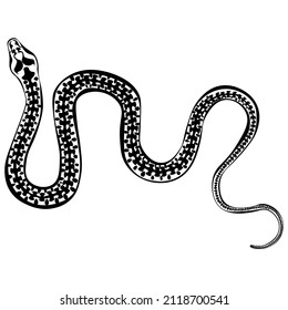 Dibujo en blanco y negro de una víbora venenosa de serpiente para colorear. Insecto para el libro de colorear. Ilustración del vector