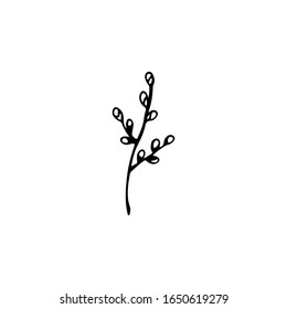 Black and white drawing of a 
willow branch. Hand-drawn linear illustration for the design of holidays, cards, logos, children's rooms.