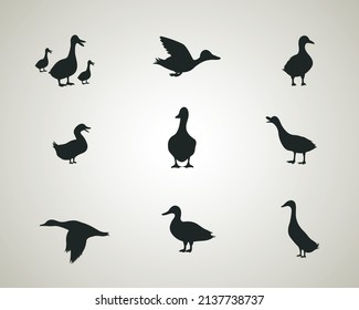 Black and white duck vector art. Ducks icon.