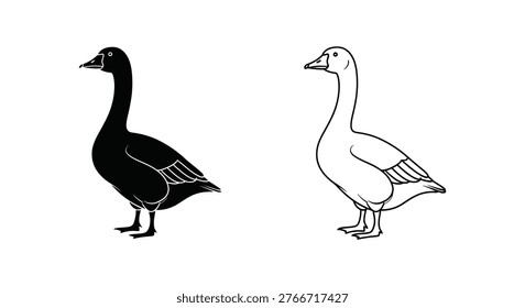 Black and White Ducks Illustration Guide Vector
