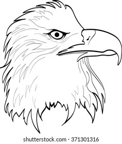 Black and white eagle