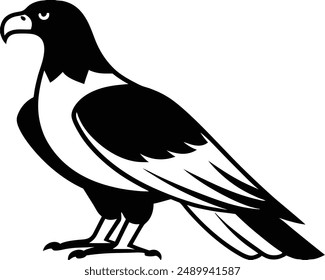 Black and white eagle bird vector art