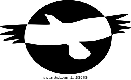 Black and white eagle closes sun