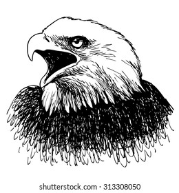 Black and white eagle hand drawn on white background