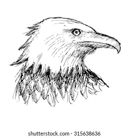 Black and white eagle hand drawn on white background