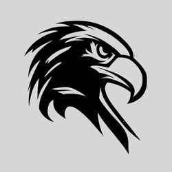 Black And White Eagle Hawk Sport Team Logo Vector