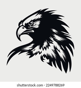 Black and white Eagle Hawk Sport team logo vector