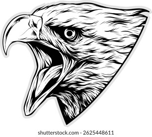 black and white eagle head ink pen vector Illustration