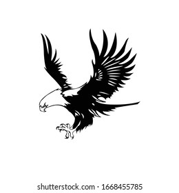 black and white eagle , vector eps 10