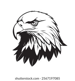 Black and white eagle Vector Illustration