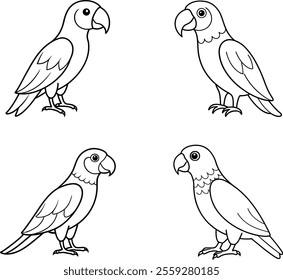 Black and White Echo Parrot Bird Line Art Illustration Set