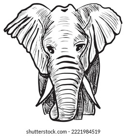 Black and white, elephant, africa, wildlife