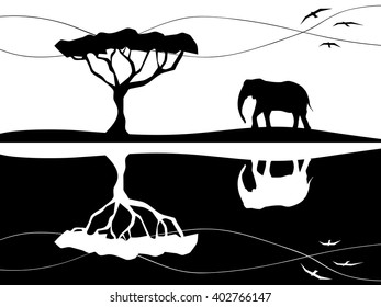 Black and white elephant background
