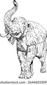 Black and white elephant illustration. Vector illustration. Suitable for banner, postcard or poster.