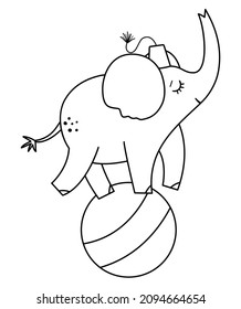 Black and white elephant on a ball. Vector circus outline animal. Amusement holiday line icon. Cute funny festival character clip art. Street show comedian illustration
