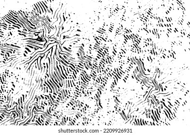 Black and white elephant skin texture. Grunge pattern. 