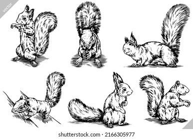 black and white engrave ink draw isolated vector squirrel set illustration