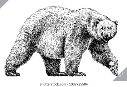 black and white engrave isolated bear vector illustration