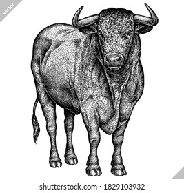 black and white engrave isolated bull vector illustration
