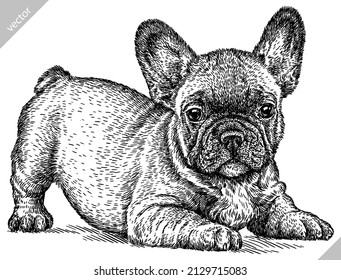 black and white engrave isolated bulldog vector illustration