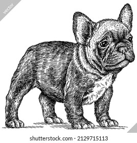 black and white engrave isolated bulldog vector illustration