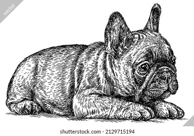 black and white engrave isolated bulldog vector illustration