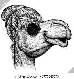 black and white engrave isolated camel vector illustration