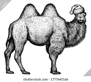 black and white engrave isolated camel vector illustration