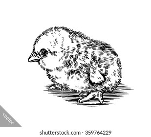 black and white engrave isolated chicken illustration