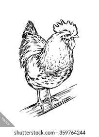 black and white engrave isolated chicken illustration