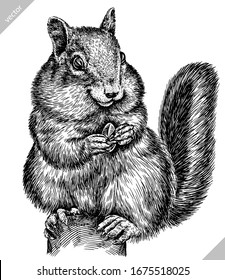 Black And White Engrave Isolated Chipmunk Vector Illustration