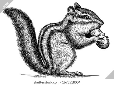 Black And White Engrave Isolated Chipmunk Vector Illustration