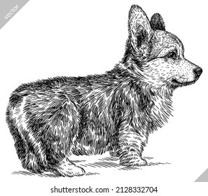 black and white engrave isolated corgi vector illustration