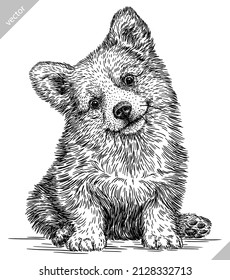 black and white engrave isolated corgi vector illustration