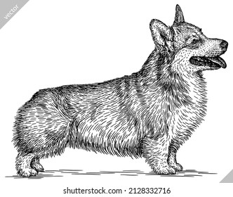 black and white engrave isolated corgi vector illustration