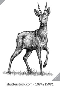 black and white engrave isolated deer vector illustration