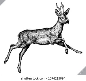 black and white engrave isolated deer vector illustration