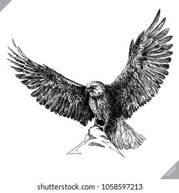 black and white engrave isolated eagle vector illustration