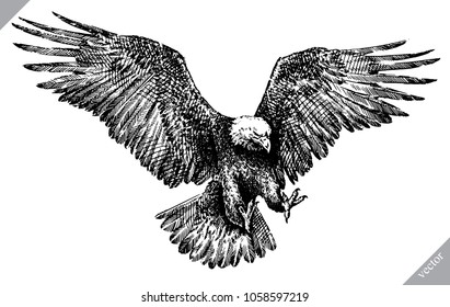 black and white engrave isolated eagle vector illustration