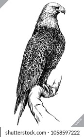black and white engrave isolated eagle vector illustration