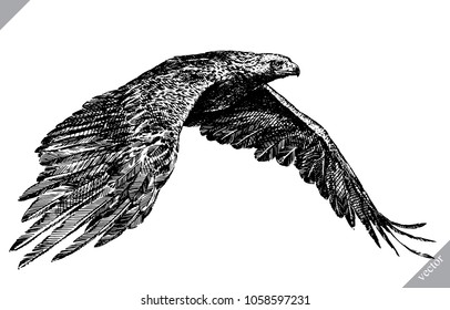 black and white engrave isolated eagle vector illustration